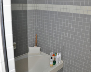Before: an institutional-style master bath that echoed like a cave